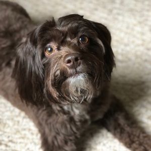 Meet your Posher, Robert